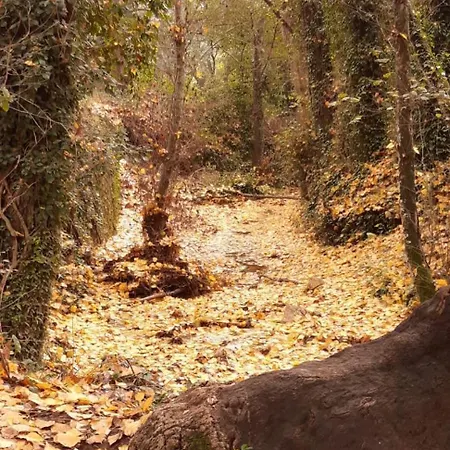Rural El Castano شقة *