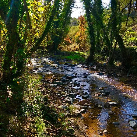 Rural El Castano شقة *